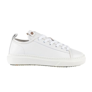 ALGAE White