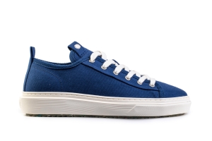 Eunicea Blue